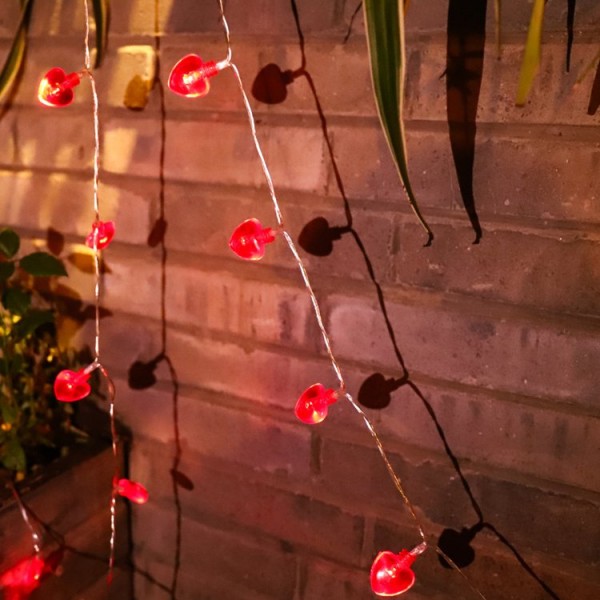 Love Shape String Hanging Lights
