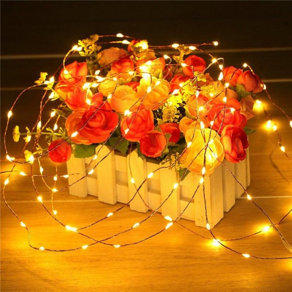 100/200 LED Copper Wire String Light