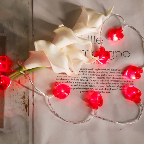 Love Shape String Hanging Lights