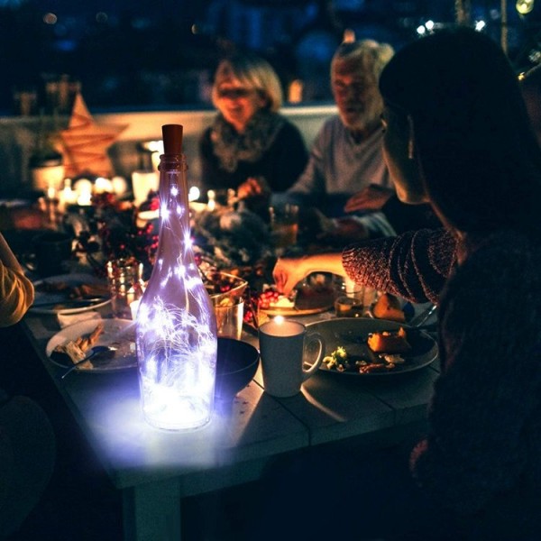 2m 20LED Copper Wire String Light