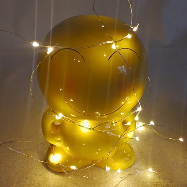 2M 20LED String Lights