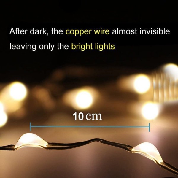 2M 20LED String Lights
