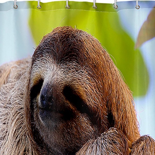 Sloth - Print Shower Curtain
