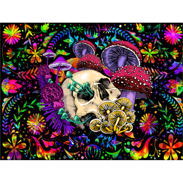 Skull - UV Reactive Tapestry with Wall Hanging Accessories