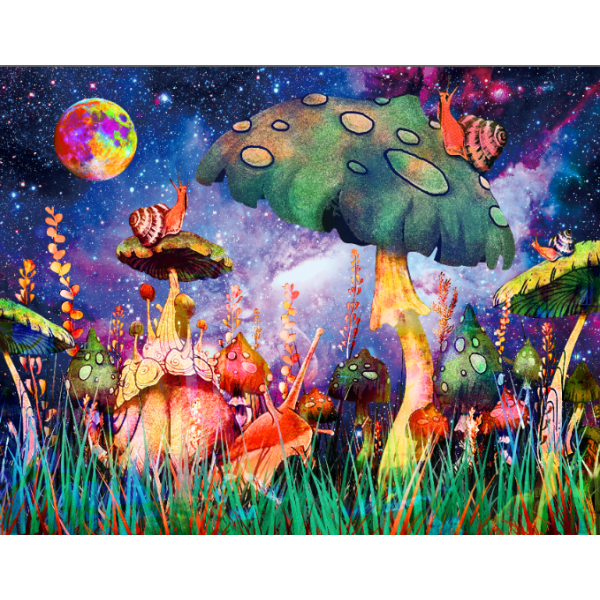 Mushroom - UV Reactive Tapestry with Wall Hanging Accessories