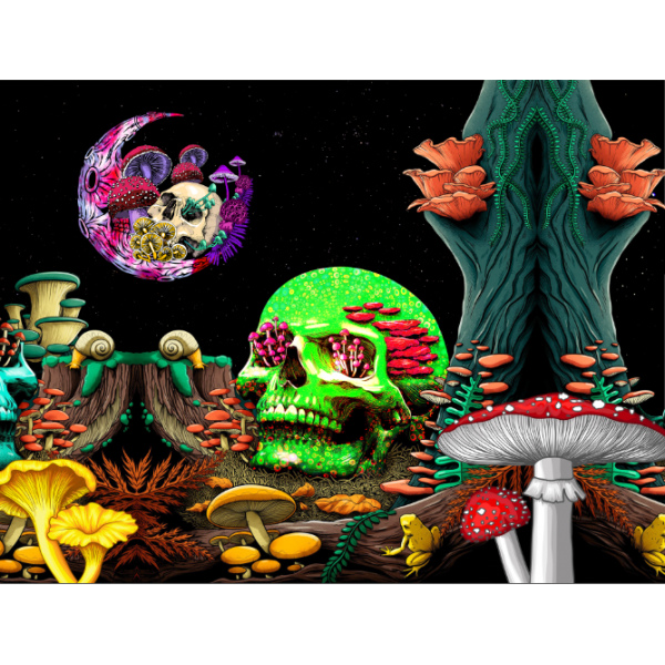 Skull - UV Reactive Tapestry with Wall Hanging Accessories