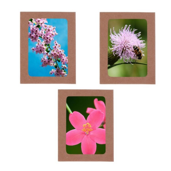 10pcs Paper Frames with Clips Rope Combination