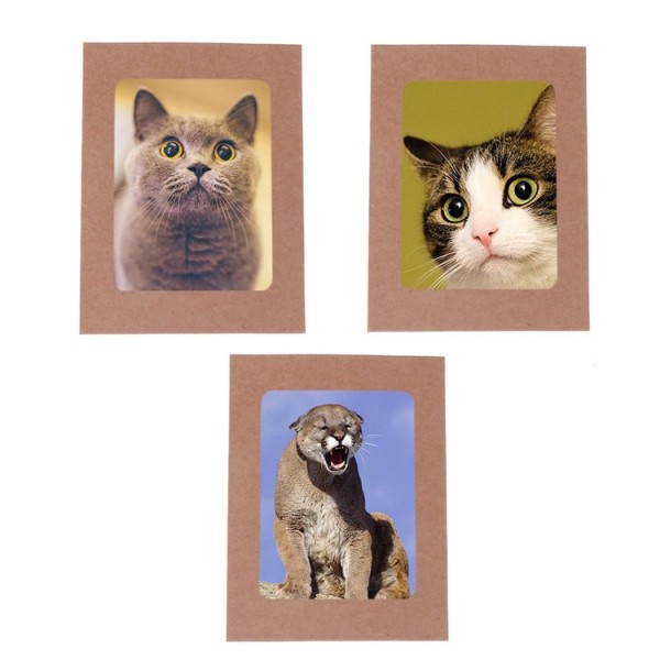 10pcs Paper Frames with Clips Rope Combination